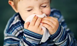 Mould and allergen protection illustration